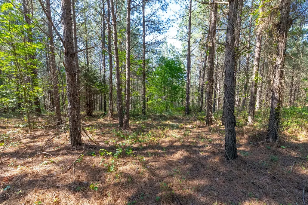 0 White Oak Road Stewart TN 37175