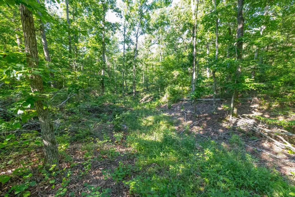 0 White Oak Road Stewart TN 37175