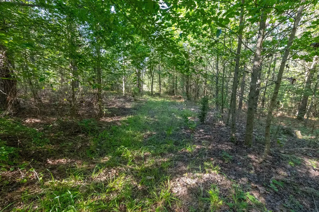 0 White Oak Road Stewart TN 37175
