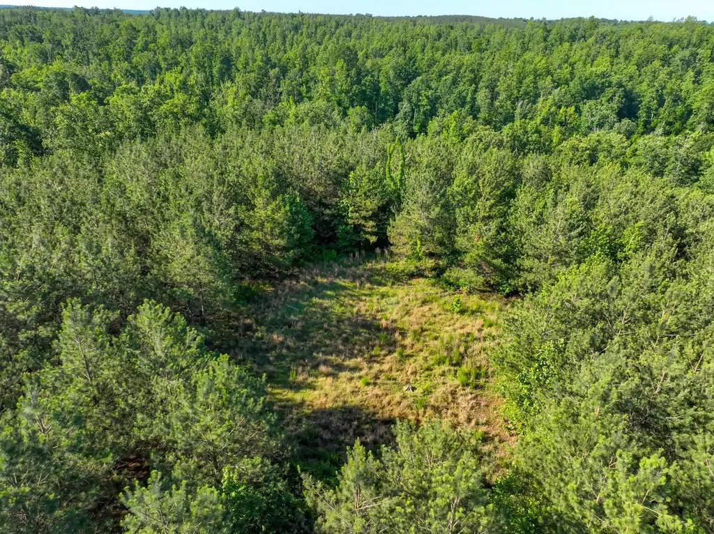 0 White Oak Road Stewart TN 37175