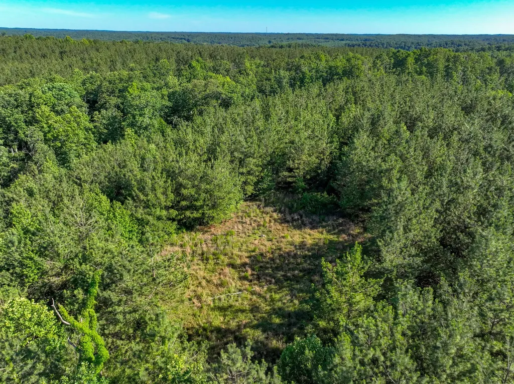 0 White Oak Road Stewart TN 37175