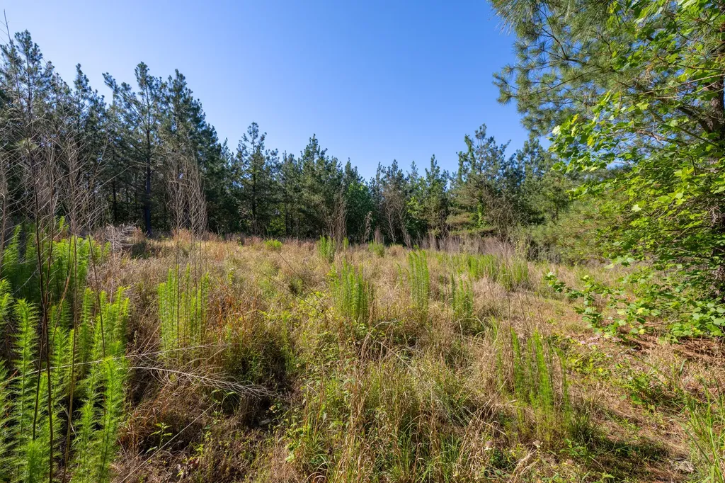 0 White Oak Road Stewart TN 37175