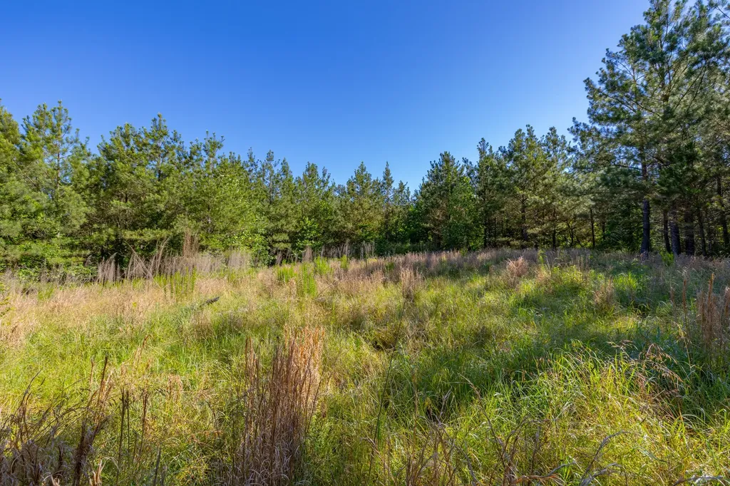 0 White Oak Road Stewart TN 37175