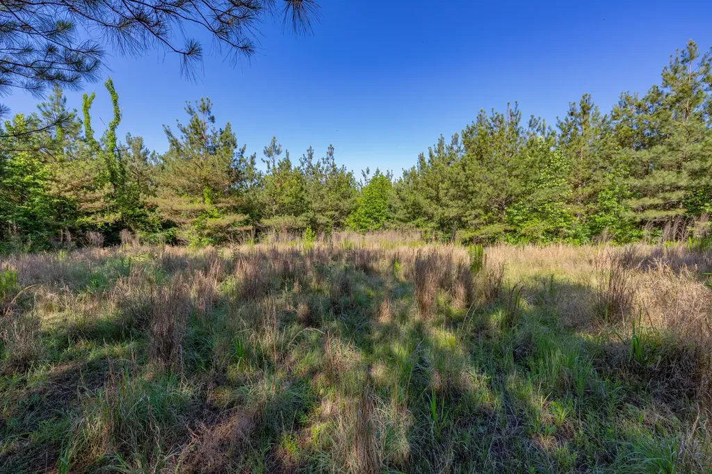 0 White Oak Road Stewart TN 37175