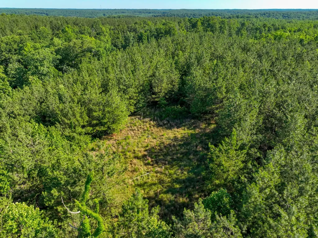 0 White Oak Road Stewart TN 37175
