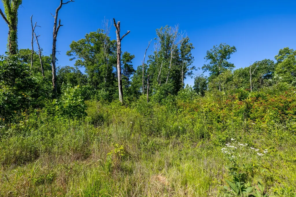 0 White Oak Road Stewart TN 37175