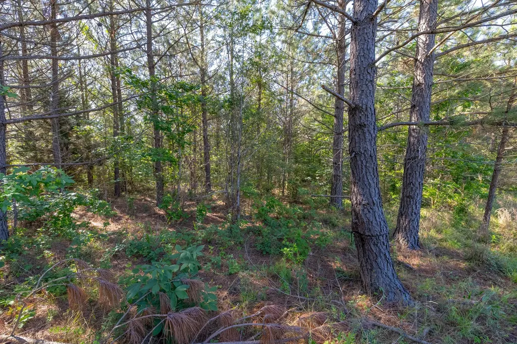 0 White Oak Road Stewart TN 37175