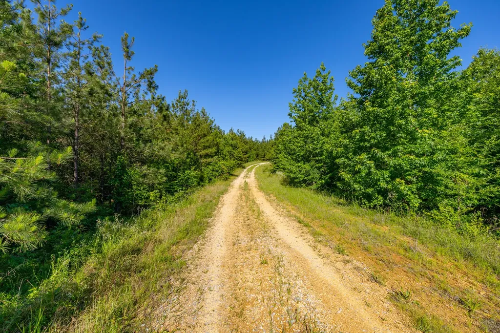 0 White Oak Road Stewart TN 37175