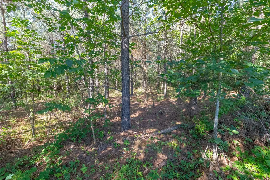 0 White Oak Road Stewart TN 37175