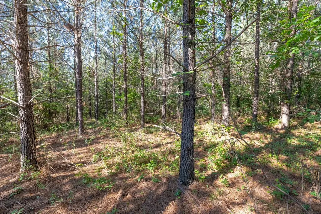 0 White Oak Road Stewart TN 37175