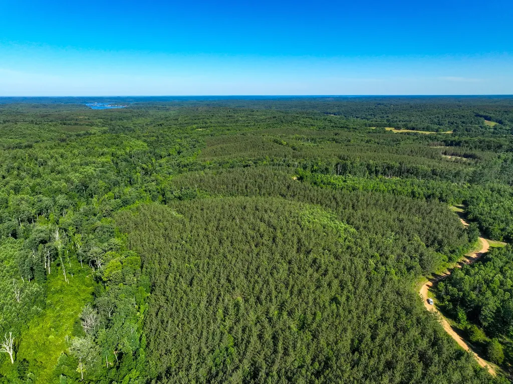 0 White Oak Road Stewart TN 37175