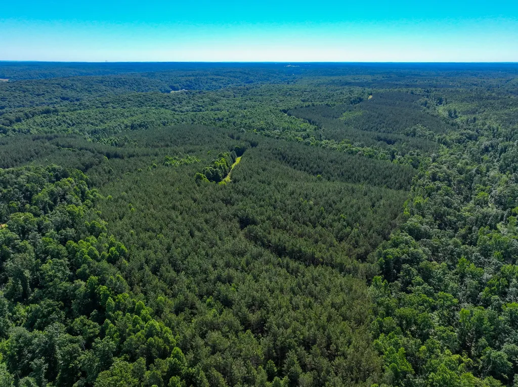 0 White Oak Road Stewart TN 37175