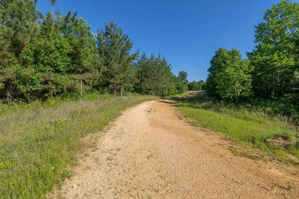 0 White Oak Road Stewart TN 37175