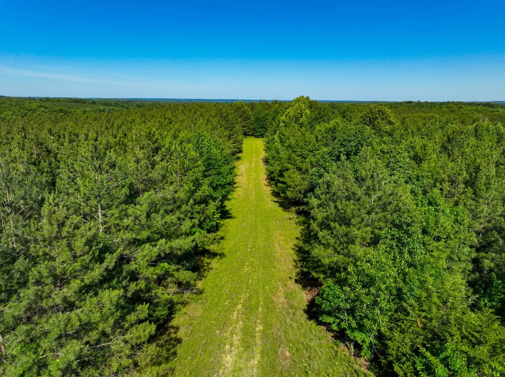 0 White Oak Road Stewart TN 37175