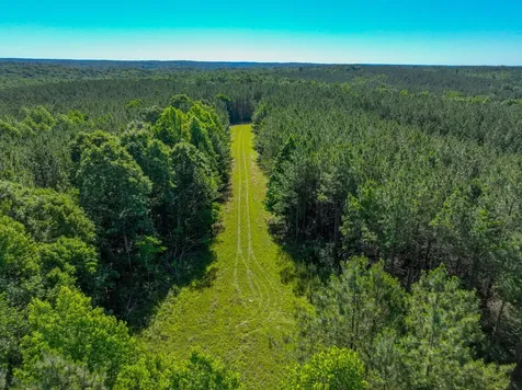 0 White Oak Road Stewart TN 37175