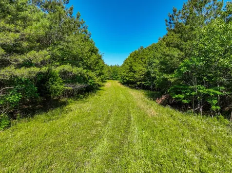 0 White Oak Road Stewart TN 37175