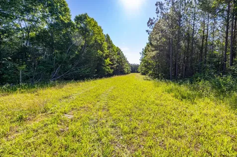 0 White Oak Road Stewart TN 37175
