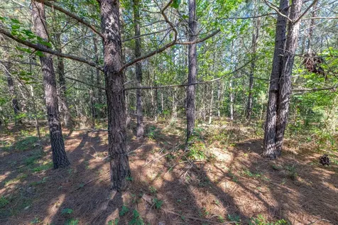 0 White Oak Road Stewart TN 37175