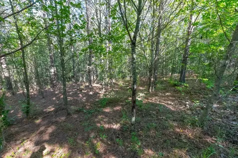 0 White Oak Road Stewart TN 37175