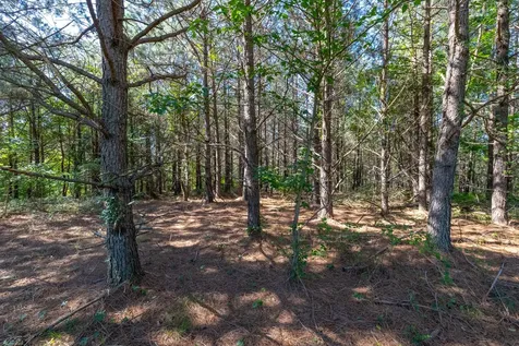 0 White Oak Road Stewart TN 37175