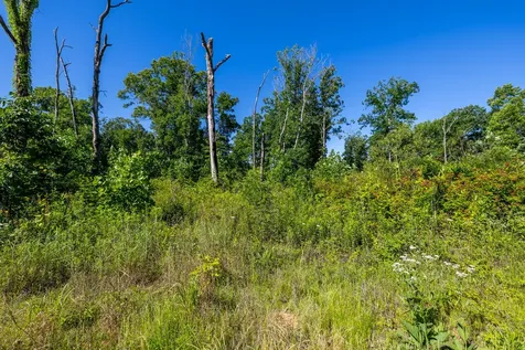 0 White Oak Road Stewart TN 37175