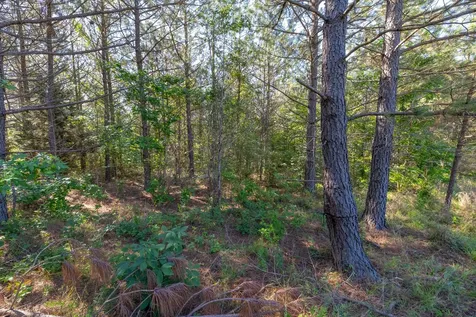 0 White Oak Road Stewart TN 37175