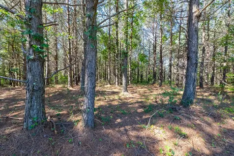 0 White Oak Road Stewart TN 37175
