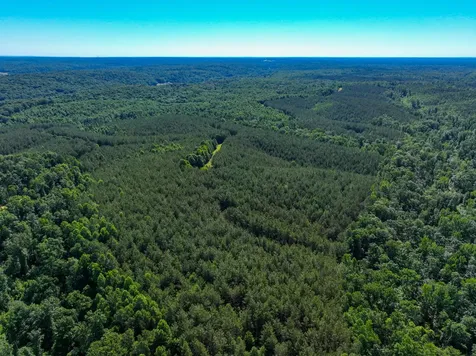 0 White Oak Road Stewart TN 37175