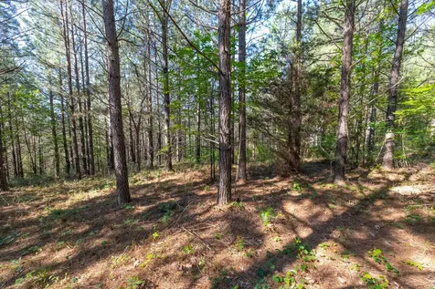 0 White Oak Road Stewart TN 37175