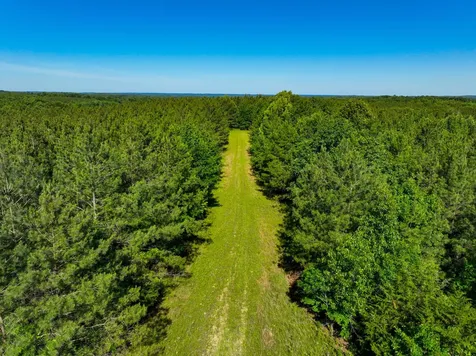 0 White Oak Road Stewart TN 37175
