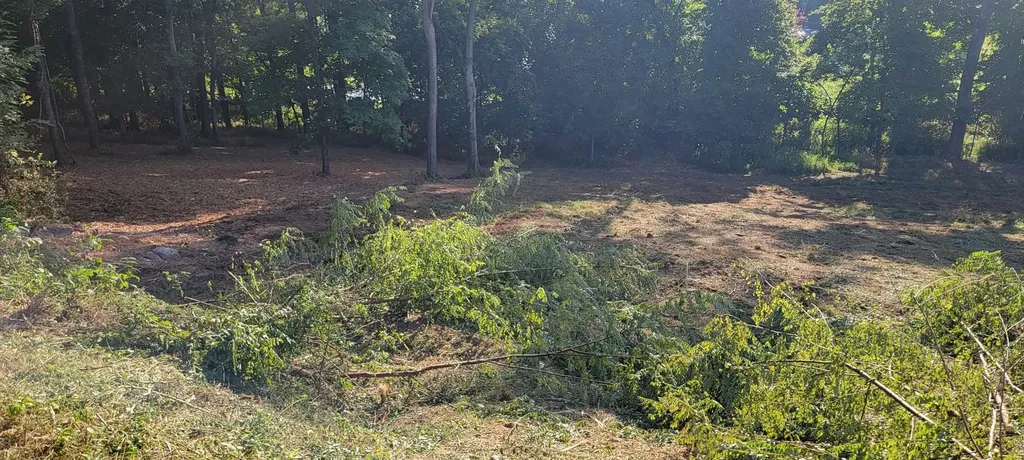 17 Alpine Drive Columbia TN 38401