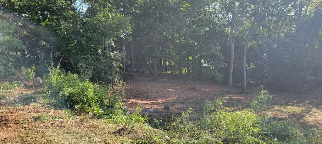 17 Alpine Drive Columbia TN 38401