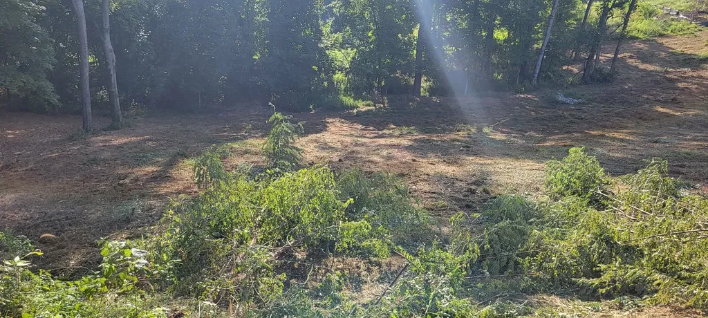 17 Alpine Drive Columbia TN 38401