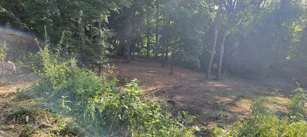 17 Alpine Drive Columbia TN 38401