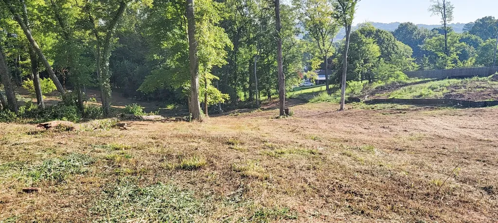17 Alpine Drive Columbia TN 38401