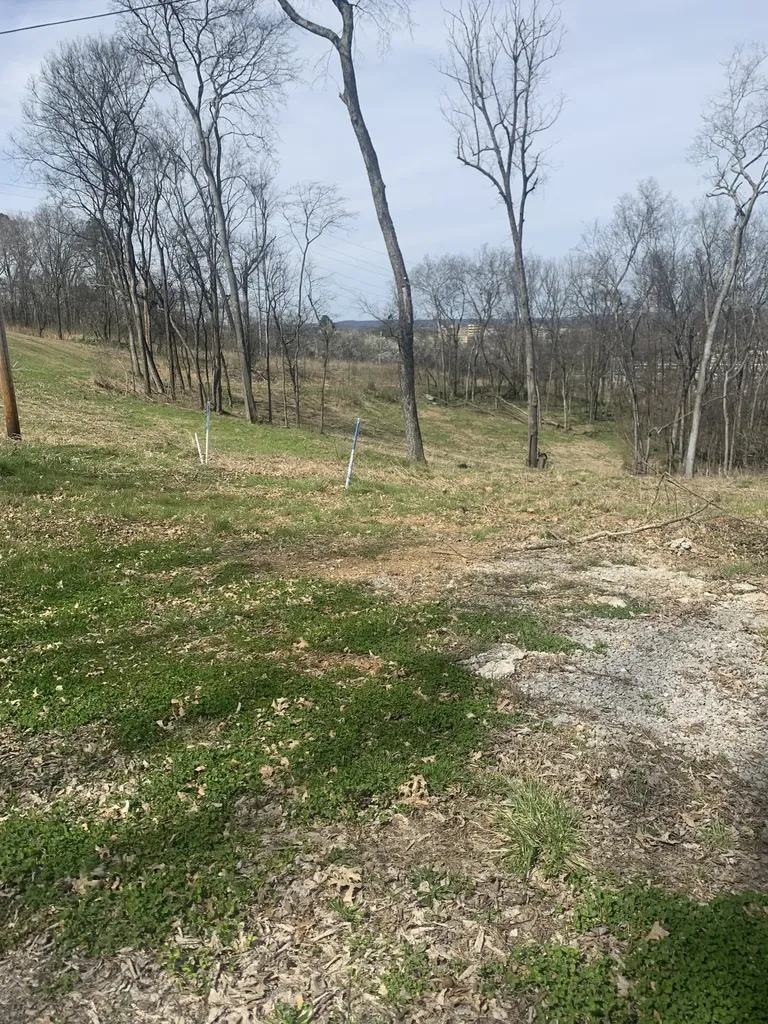 17 Alpine Drive Columbia TN 38401