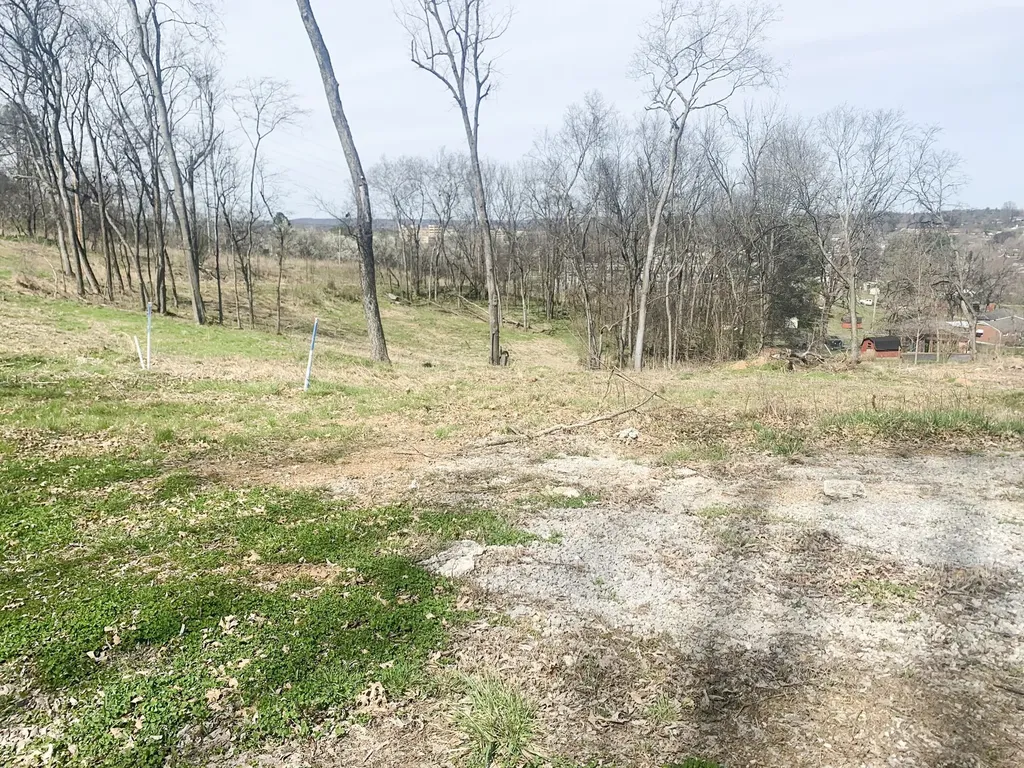17 Alpine Drive Columbia TN 38401