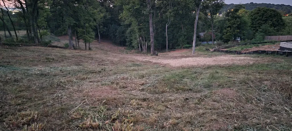 17 Alpine Drive Columbia TN 38401