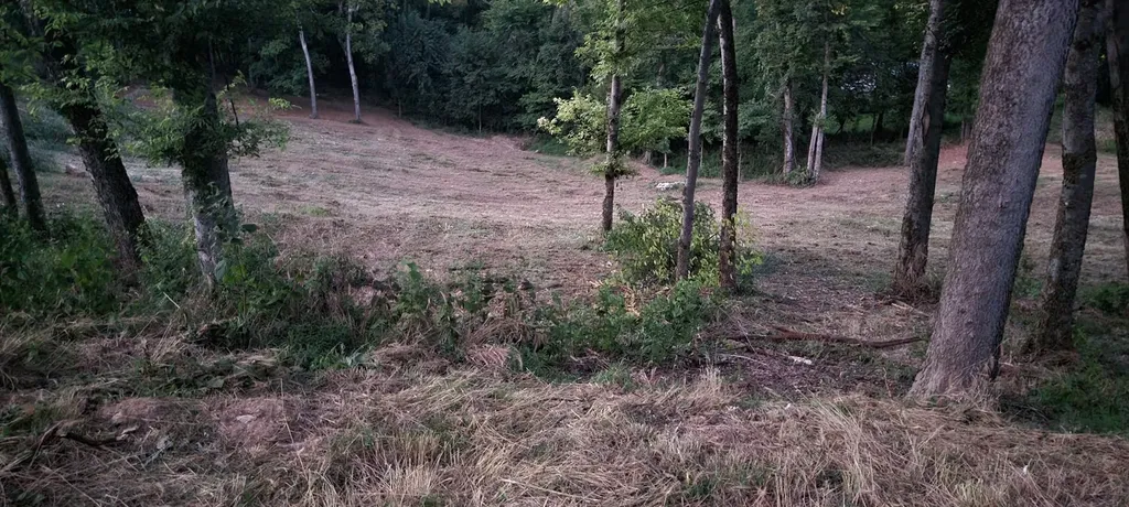 17 Alpine Drive Columbia TN 38401
