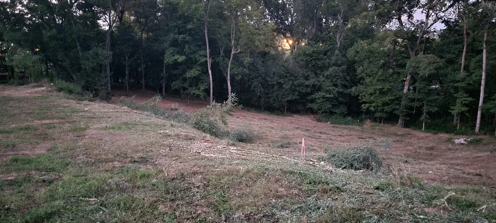 17 Alpine Drive Columbia TN 38401