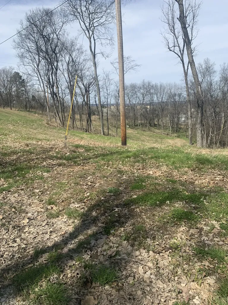 17 Alpine Drive Columbia TN 38401
