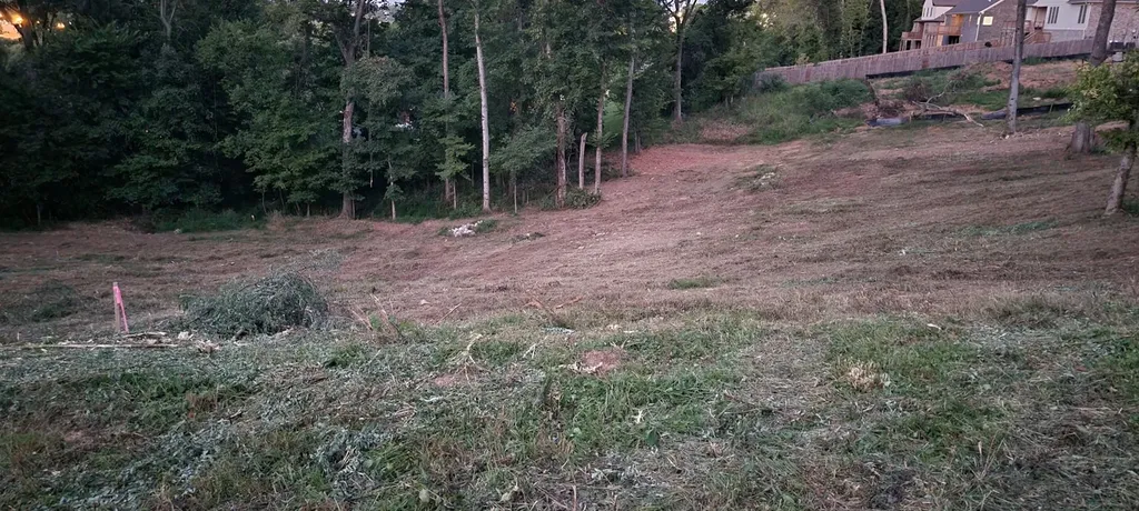 17 Alpine Drive Columbia TN 38401