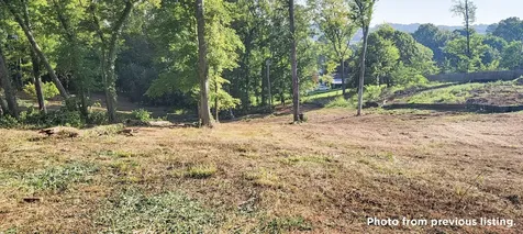 17 Alpine Drive Columbia TN 38401