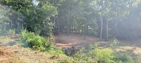 17 Alpine Drive Columbia TN 38401