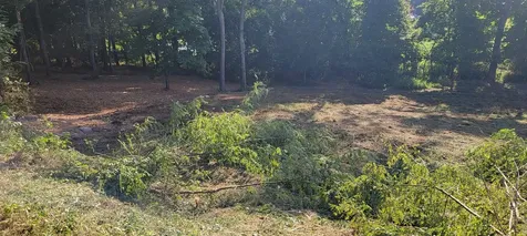 17 Alpine Drive Columbia TN 38401