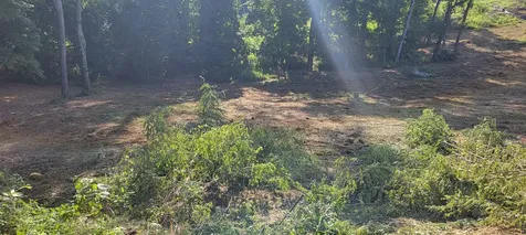 17 Alpine Drive Columbia TN 38401