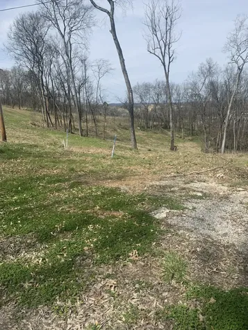 17 Alpine Drive Columbia TN 38401