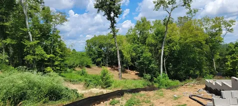 17 Alpine Drive Columbia TN 38401