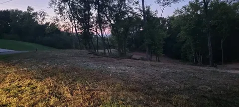 17 Alpine Drive Columbia TN 38401