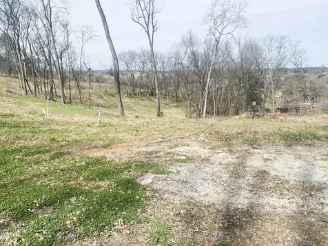 17 Alpine Drive Columbia TN 38401